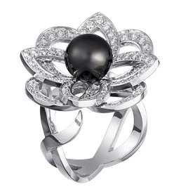 anillo41