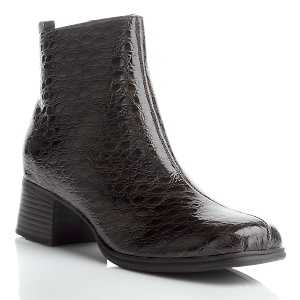 charolbotin2