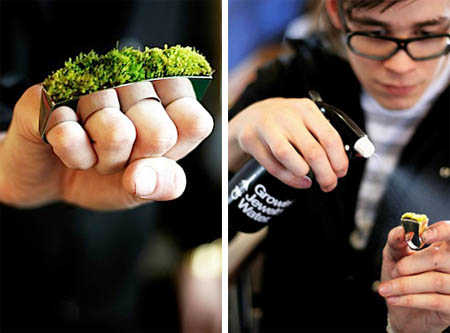 Growing Jewelry