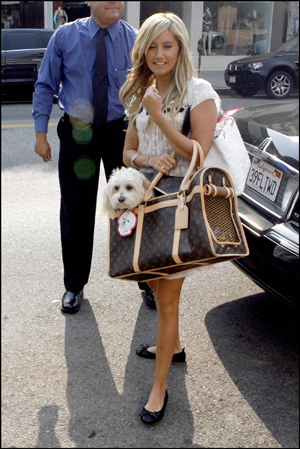 mascotas lindsay con perro