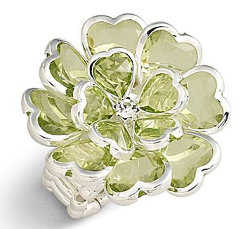 anillo01