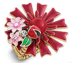 anillo02