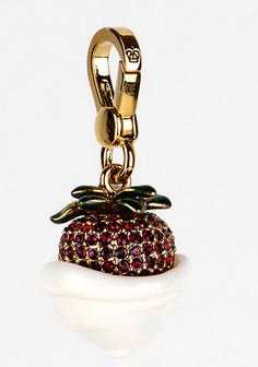 charm04