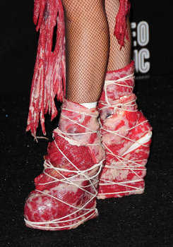 zapatos06