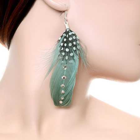 plumas2