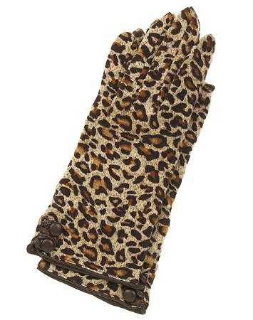leopard
